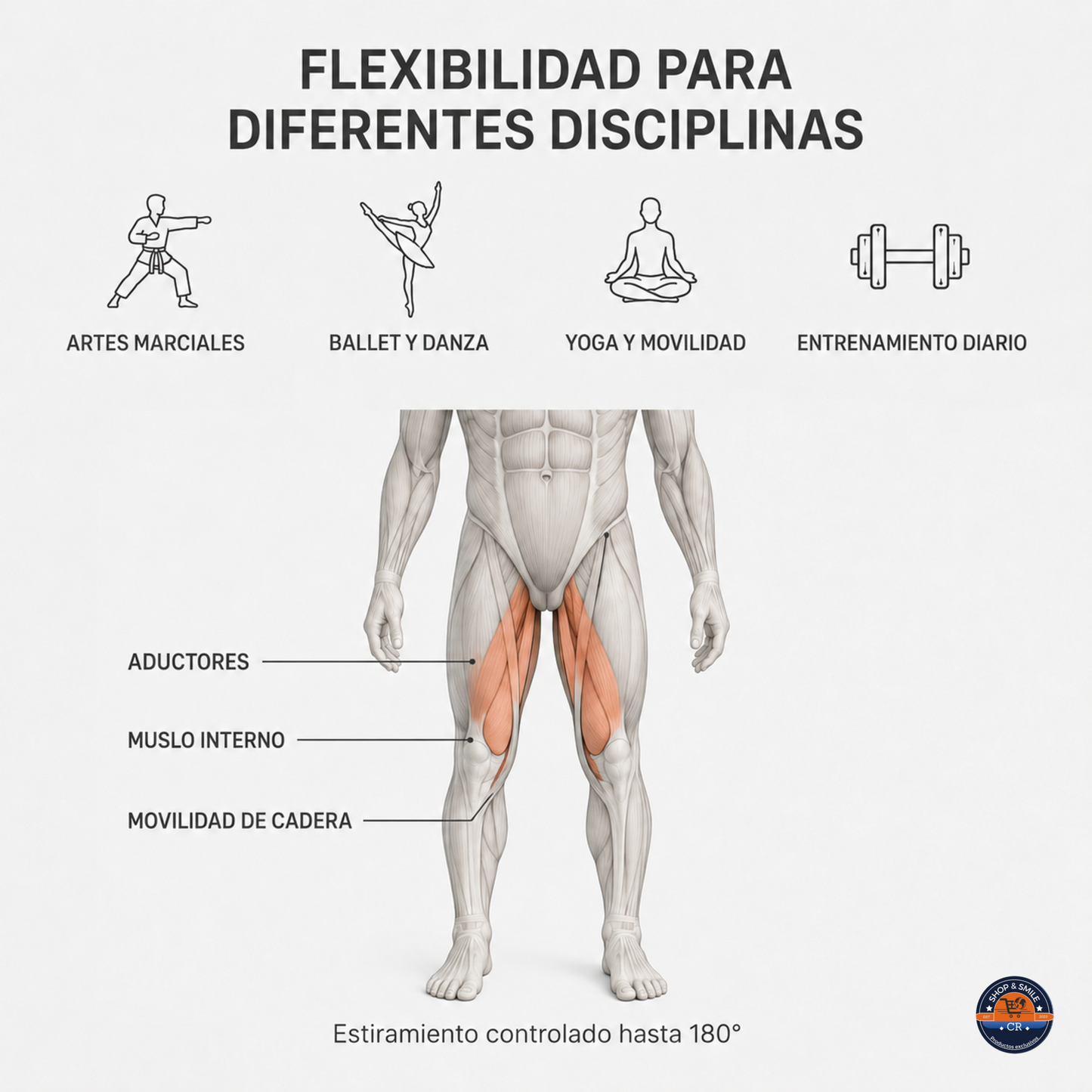 Estirador profesional de piernas MuscleForge 180° ajustable