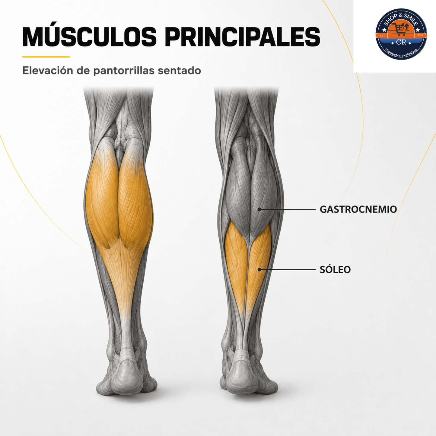 Máquina de pantorrillas GuuG ajustable
