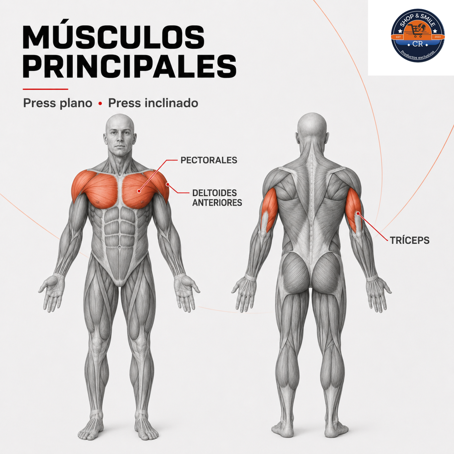Máquina GMWD 1050 lb para press de pecho con banco ajustable