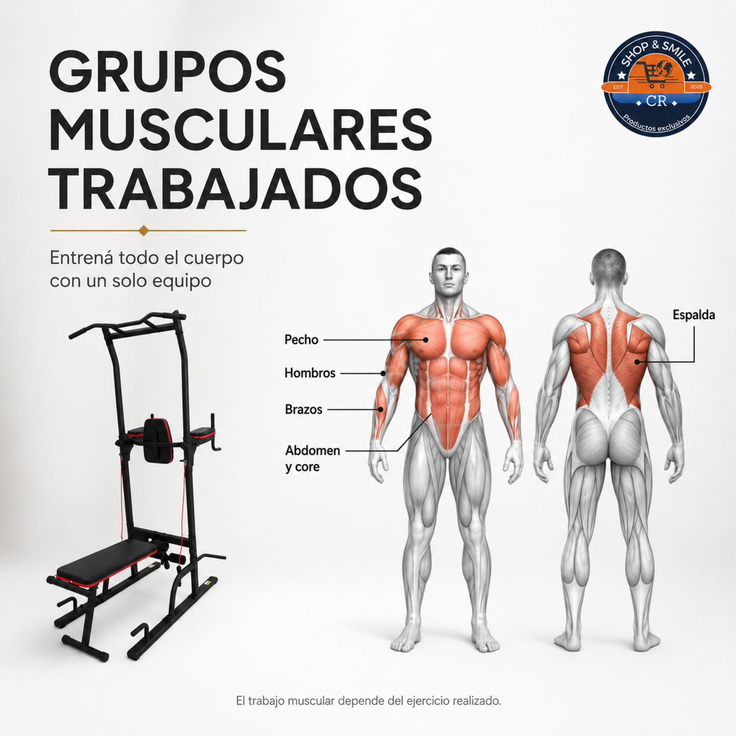 Banco multiposición con barra de dominadas para gimnasio en casa