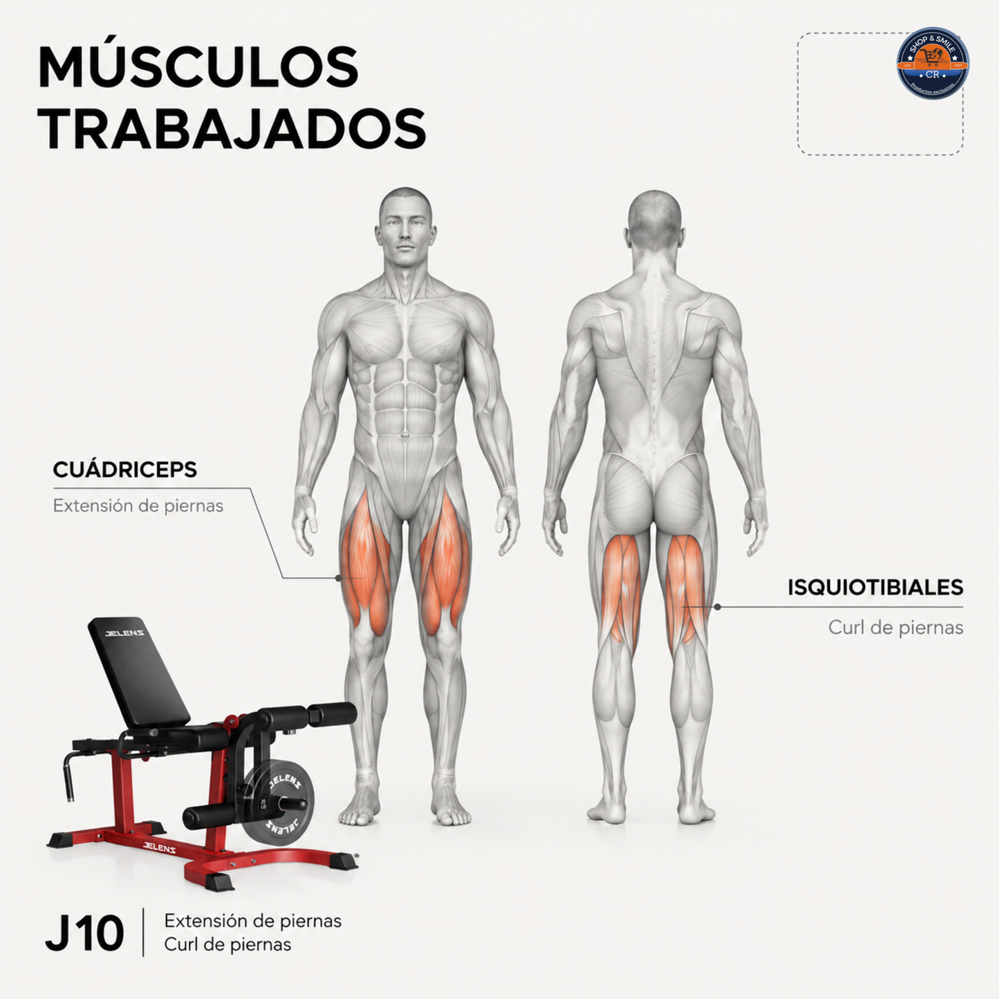 Máquina JELENS J10 para extensión y curl de piernas