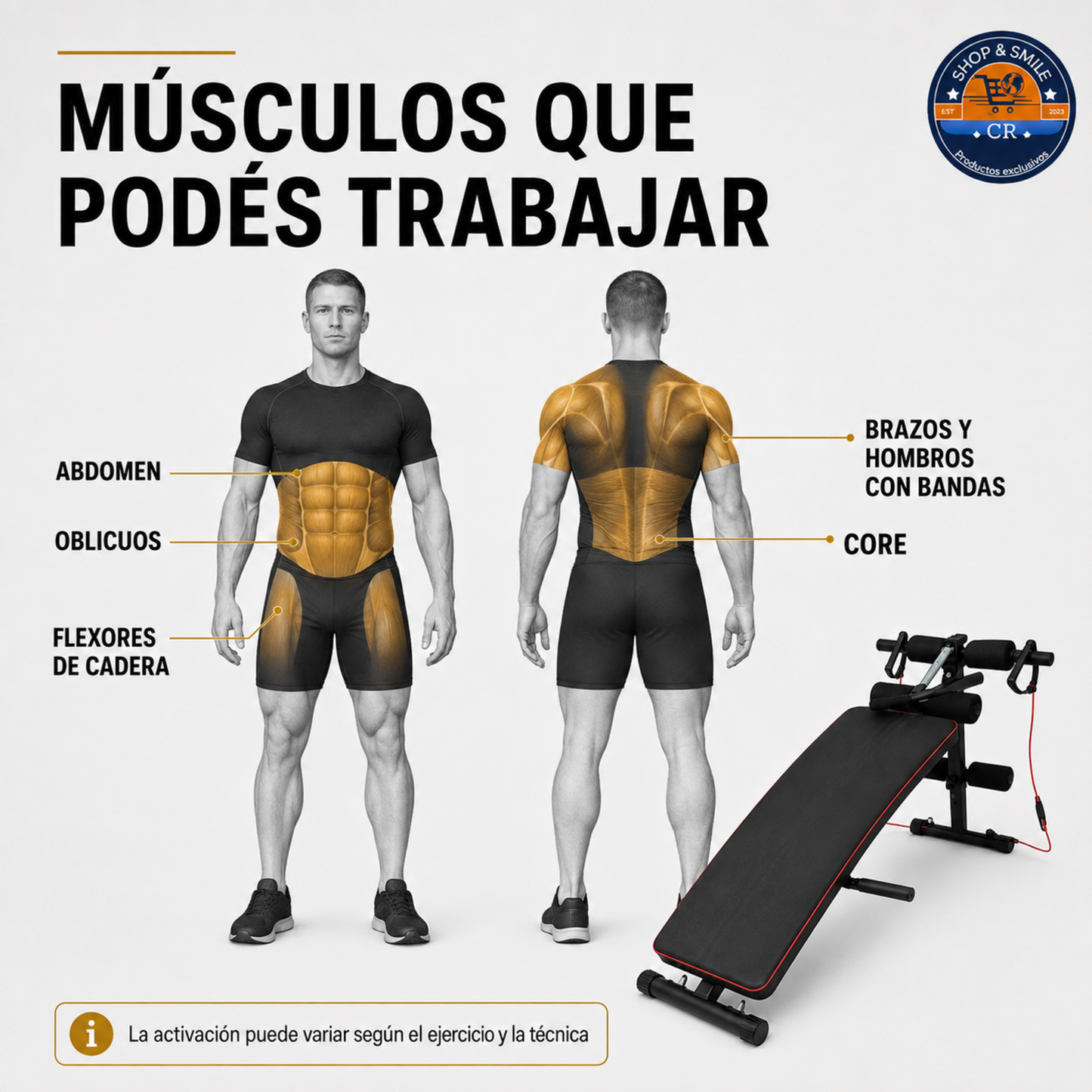 Banco multifuncional ajustable para abdominales