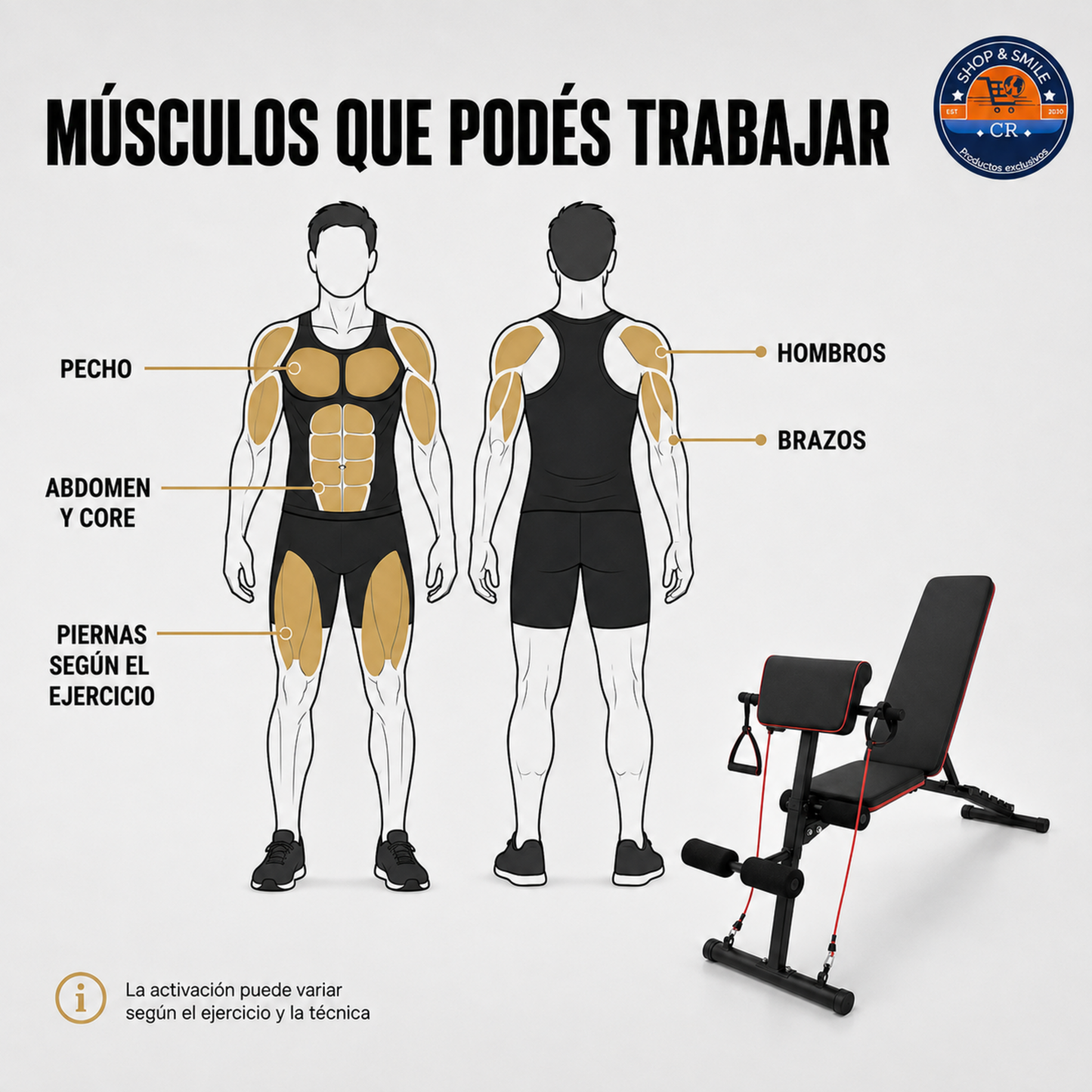 Banco multifuncional ajustable para ejercicios 4 en 1