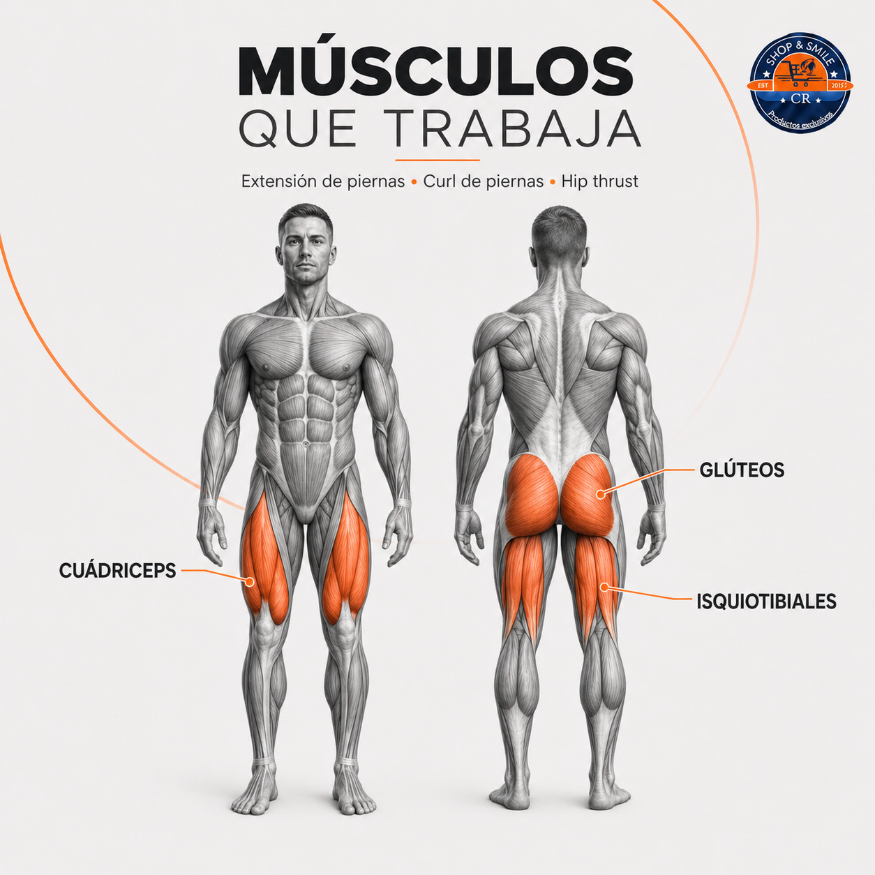 Máquina FEIERDUN 4 en 1 para ejercicios de piernas
