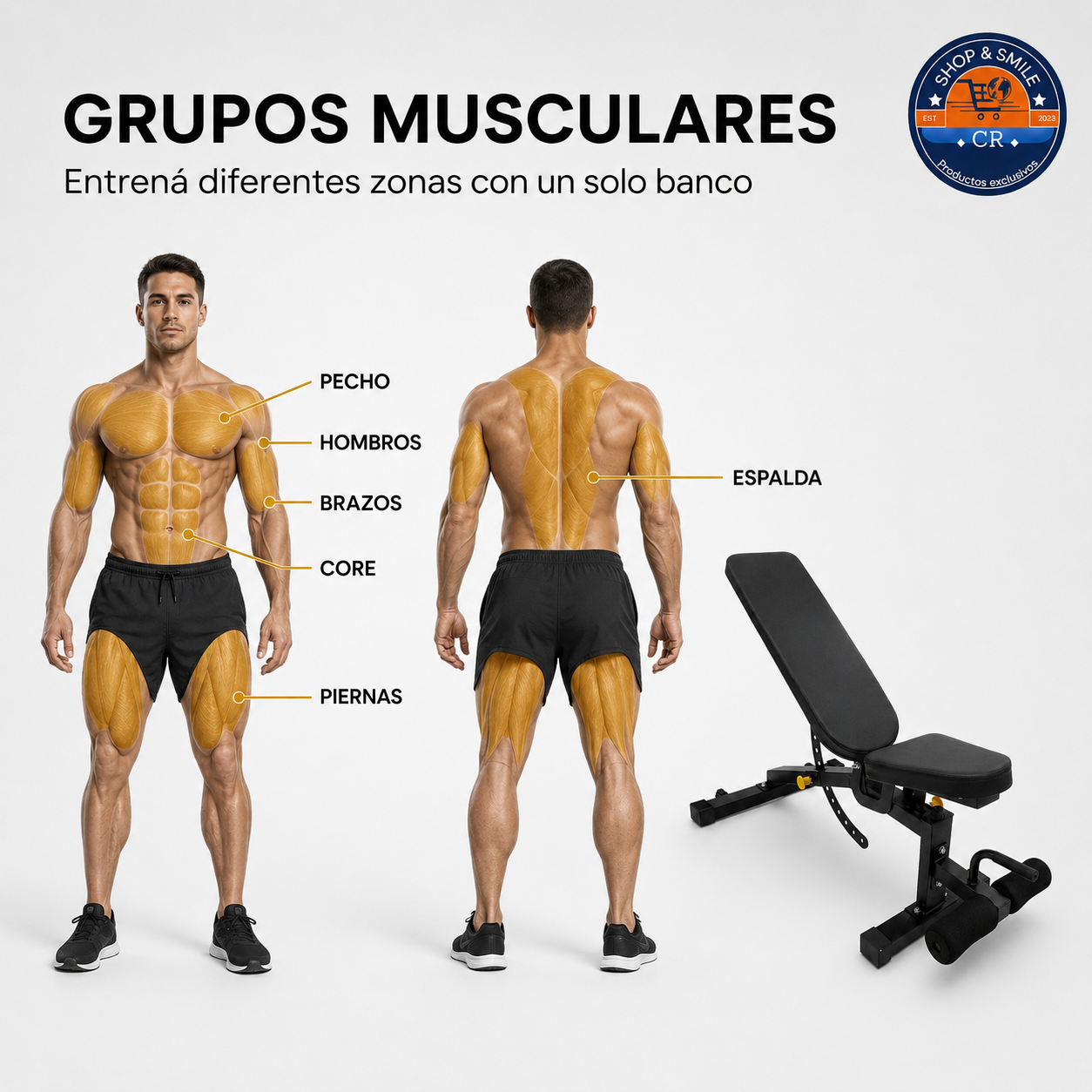 Banco multifuncional ajustable para entrenamiento